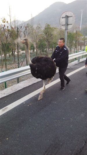 http://www.86control.com/uploadfile/2014/1223/20141223100232540.jpg