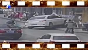 一只小狗引發(fā)車禍