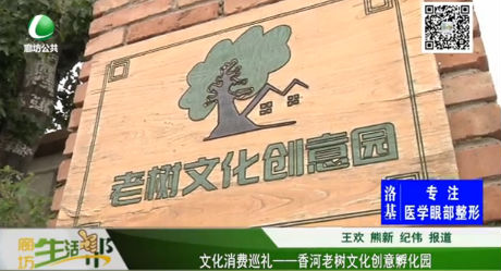 文化消費(fèi)巡禮—— 香河老樹(shù)文化創(chuàng)意孵化園