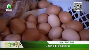 不同蛋類 營養(yǎng)差別大嗎