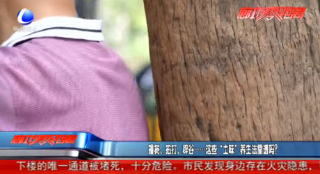 撞樹、拍打、辟谷......這些“土味”養(yǎng)生法靠譜嗎？