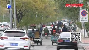 交通違法曝光臺：非機(jī)動車逆行“太任性”