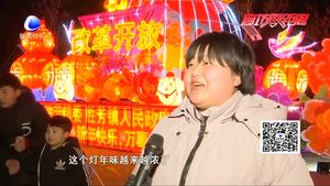 萬(wàn)盞花燈鬧元宵 紅紅火火勝芳年