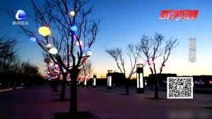 鏡頭下永清生態(tài)公園的美與丑