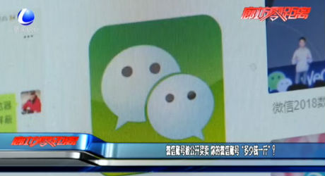 微信賬號(hào)被公開(kāi)買(mǎi)賣(mài) 你的微信賬號(hào)“多少錢(qián)一斤”？