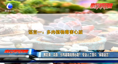 零距離求真：多肉植物毒害心臟？專業(yè)人士盤點(diǎn)“綠植謠言”