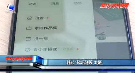 國(guó)家試點(diǎn)“青少年防沉迷系統(tǒng)”凈化網(wǎng)絡(luò)