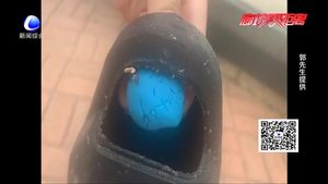 三角錐傷人  商家是故意還是意外？