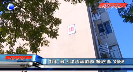 零距離·熱線：小區(qū)地下室成流浪貓居所 跳蚤成災 居民“談蚤色變”