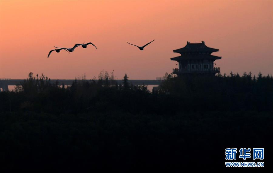 (圖文互動(dòng))(1)野生動(dòng)物用“腳”為河南生態(tài)治理點(diǎn)贊