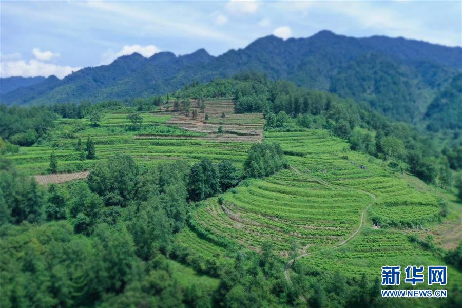 (在習(xí)近平新時(shí)代中國(guó)特色社會(huì)主義思想指引下——新時(shí)代新作為新篇章·總書記關(guān)切脫貧事·決勝貧困·圖文互動(dòng))(7)易地扶貧搬遷:助力“跨越式”奔小康