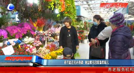 春節(jié)臨近花卉熱銷(xiāo) 抱盆鮮花回家添年味兒