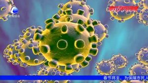 【謠言粉碎機(jī)】 別讓疫情謠言滿天飛（二）