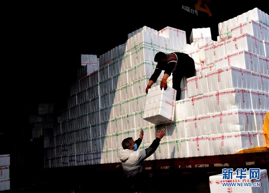 （聚焦疫情防控·圖文互動(dòng)）（4）吃的東西充足，做點(diǎn)花樣菜吧！——中部地區(qū)最大農(nóng)產(chǎn)品批發(fā)市場(chǎng)見聞 