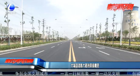大城縣道陳大路的美麗嬗變