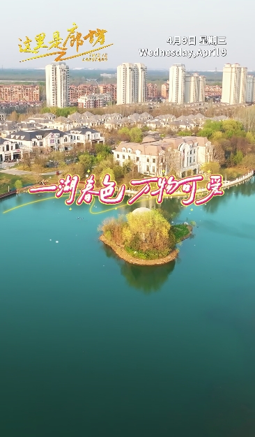 【這里是廊坊】一湖春色 萬物可愛