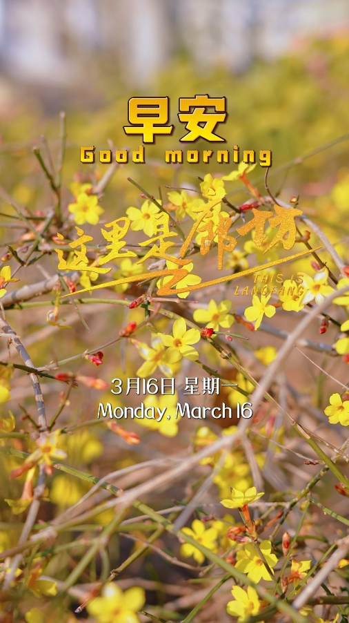【這里是廊坊】迎春花開(kāi) 春意愈濃