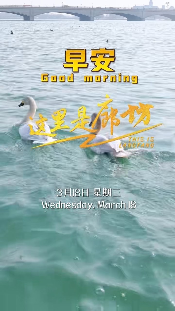 【這里是廊坊】天氣漸暖，遷徙的候鳥(niǎo)跨越山海，只為趕赴這場(chǎng)與廊坊的春之約。