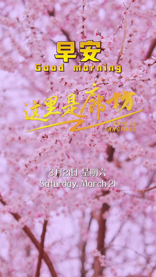 【這里是廊坊】灼灼桃花三千里 不負(fù)春光不負(fù)卿