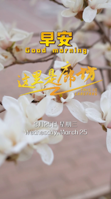 【這里是廊坊】當(dāng)一樹(shù)樹(shù)玉蘭在校園悄然綻放，粉的如霞，白的似雪，這里便成了春天最生動(dòng)的課堂。